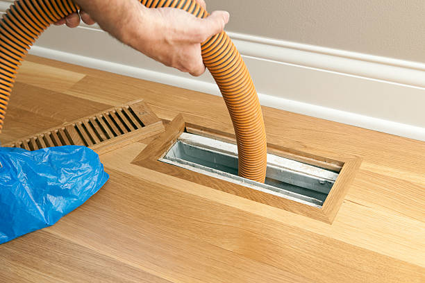 Best Affordable Duct Cleaning Services  in Mogul, NV