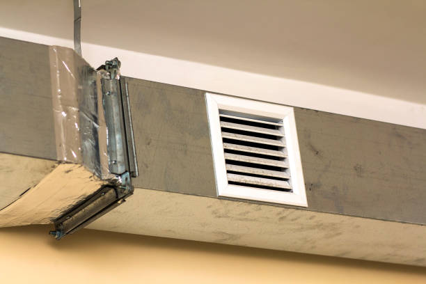 Air Duct Mold Removal in NV